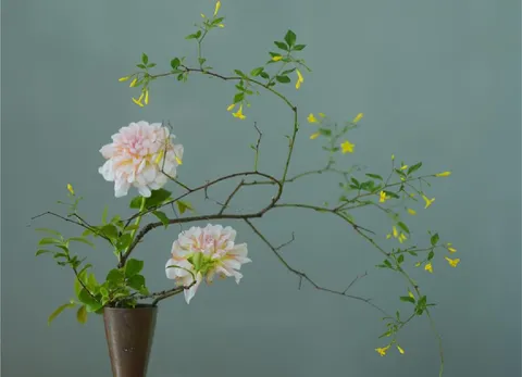 瓶插花枝与藤蔓，淡灰蓝背景。